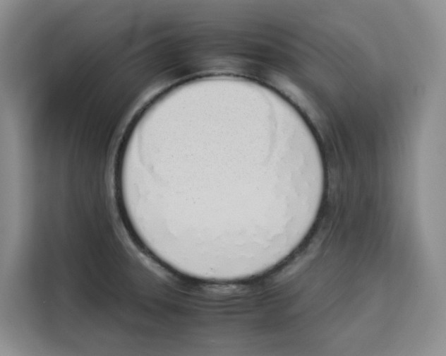 X0000113911331200910221326