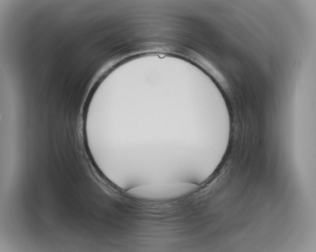 X0000113911332200910221326