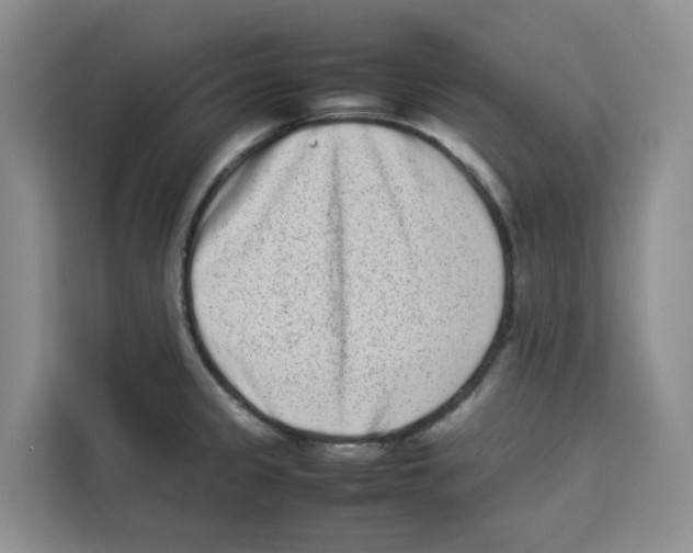 X0000113911333200910221326