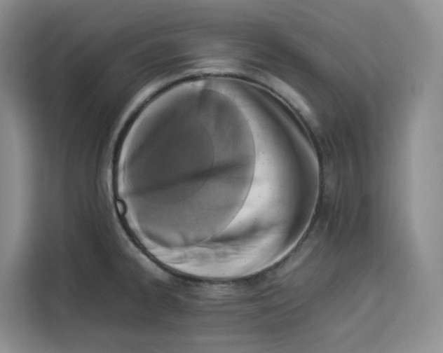 X0000113911334200910221326