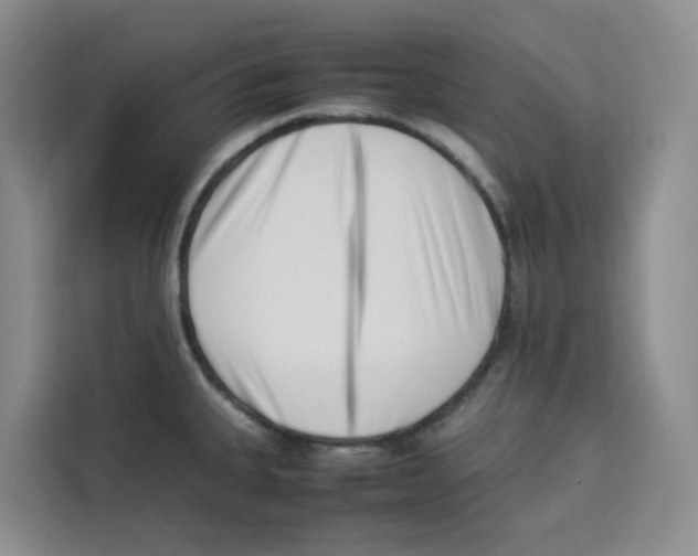 X0000113911335200910221326