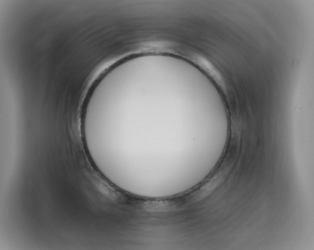 X0000113911336200910221326