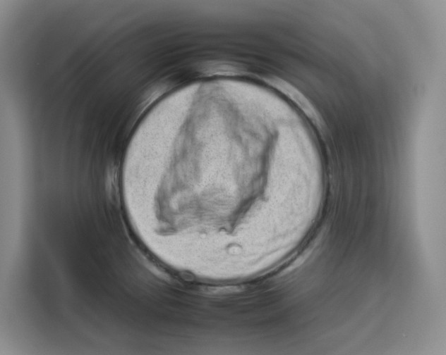 X0000113911337200910221326