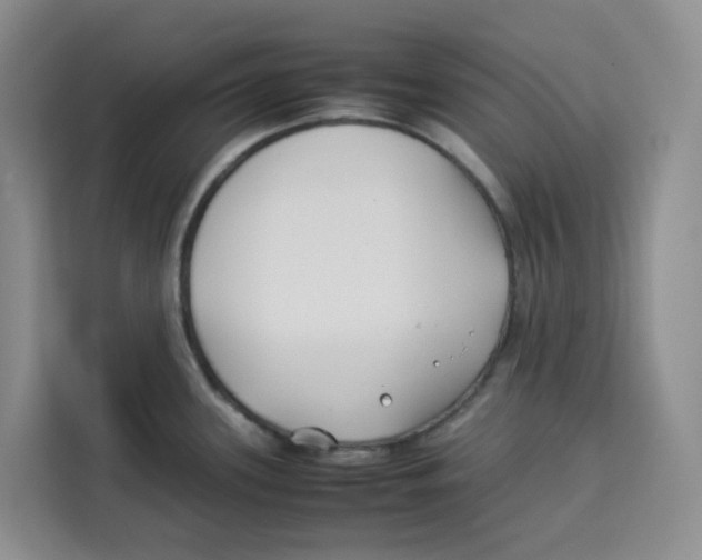 X0000113911339200910221326