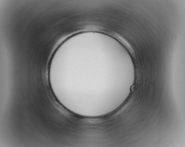 X0000113911340200910221326