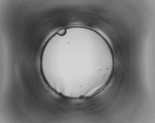 X0000113911341200910221326