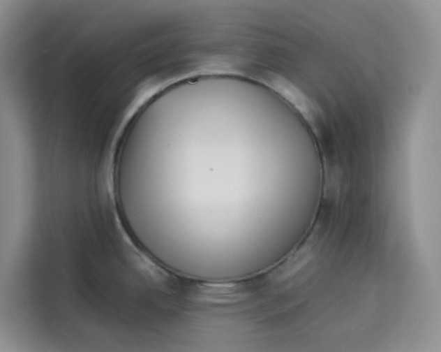 X0000113911342200910221326