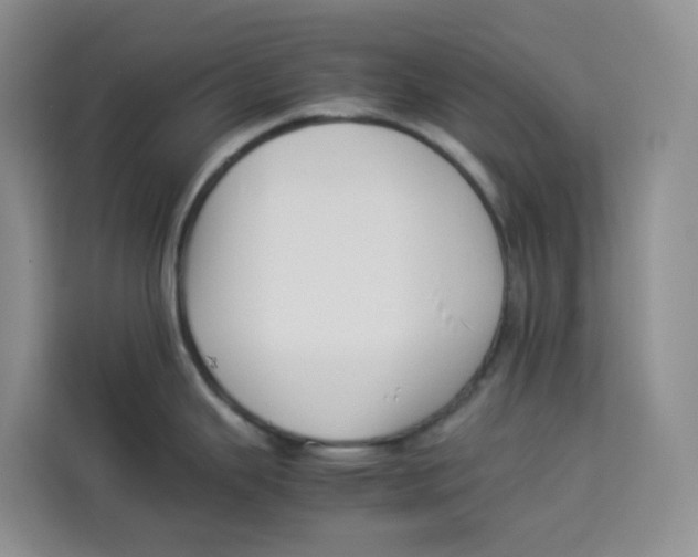 X0000113911343200910221326