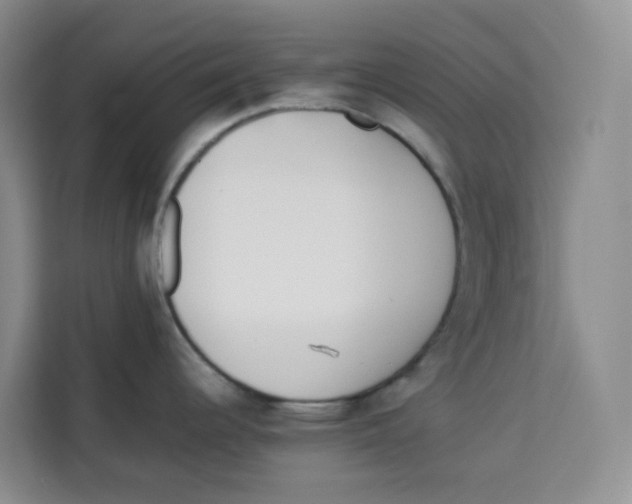 X0000113911344200910221326