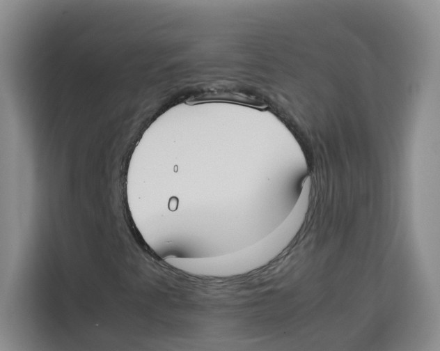 X0000113911345200910221325