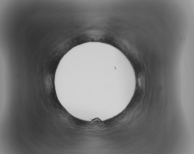 X0000113911347200910221325