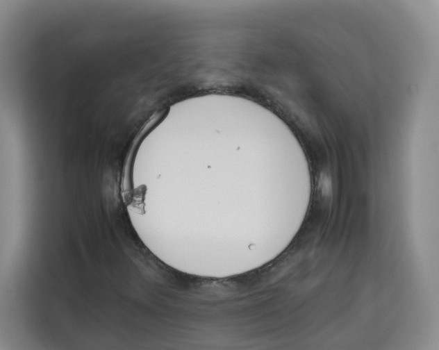 X0000113911348200910221325