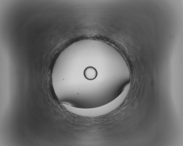 X0000113911349200910221325