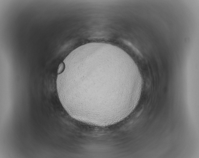 X0000113911350200910221325