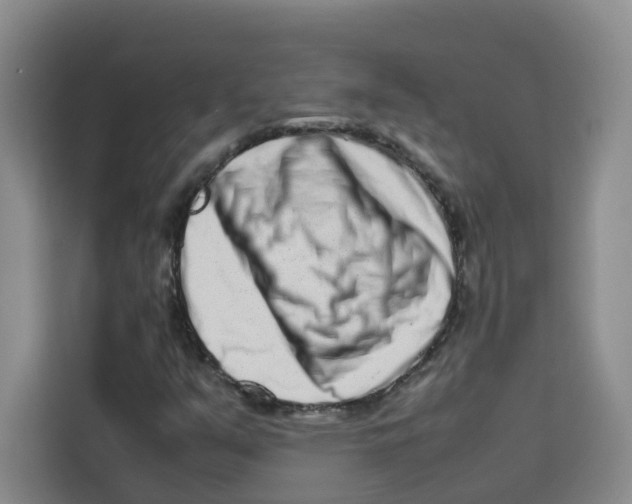 X0000113911351200910221325