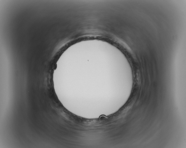 X0000113911352200910221325