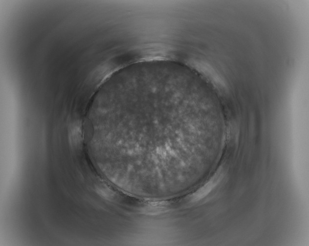 X0000113911353200910221325