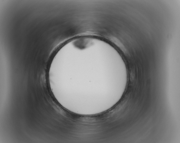 X0000113911356200910221325