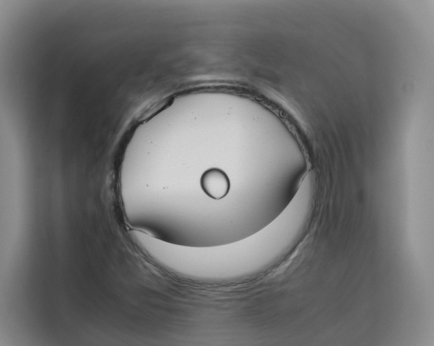 X0000113911357200910221325