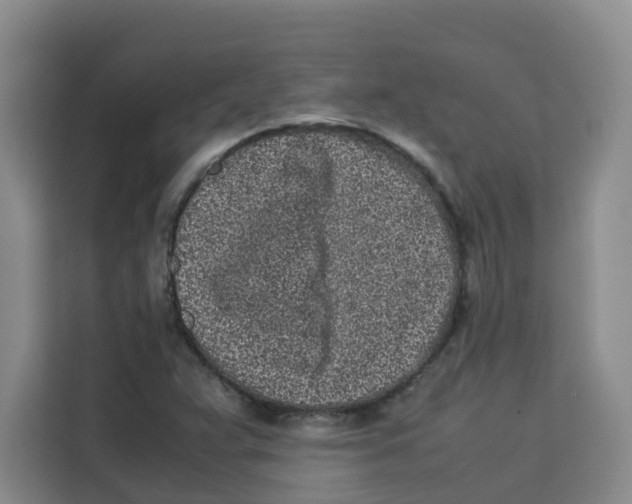 X0000113911359200910221325