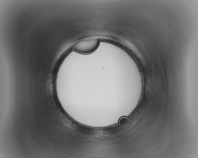 X0000113911360200910221325