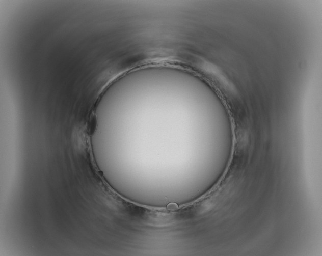 X0000113911361200910221325