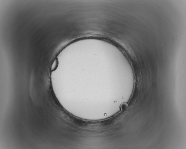 X0000113911363200910221325