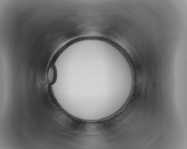 X0000113911364200910221325