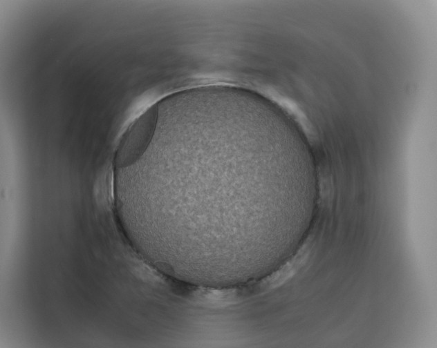 X0000113911365200910221325