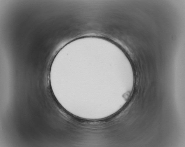 X0000113911367200910221325