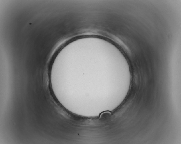 X0000113911368200910221325