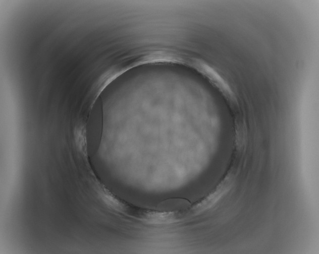 X0000113911369200910221325