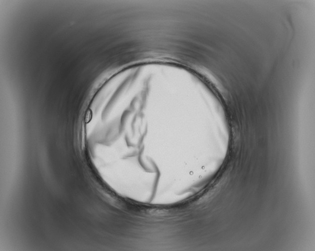 X0000113911371200910221325