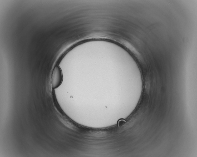 X0000113911372200910221325