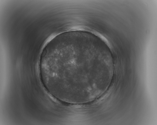 X0000113911373200910221325