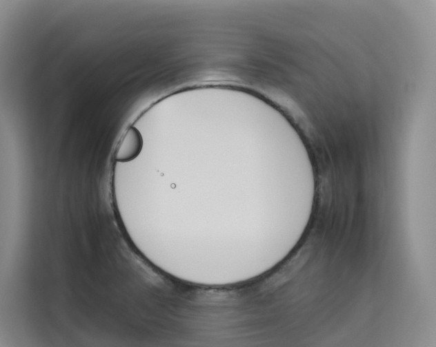 X0000113911374200910221325