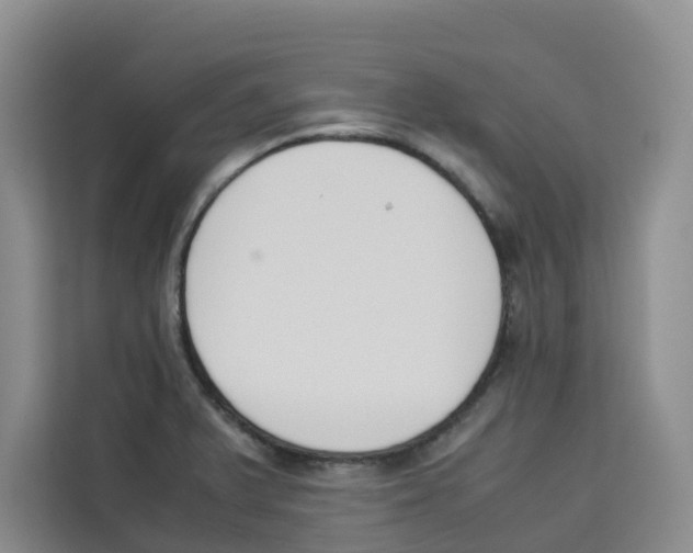 X0000113911375200910221325