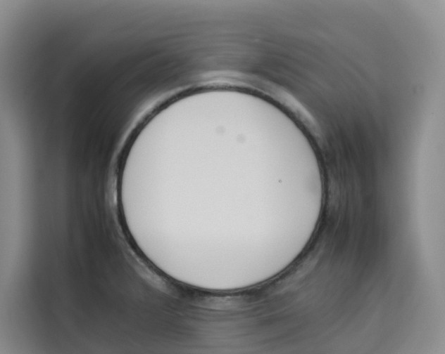 X0000113911376200910221325