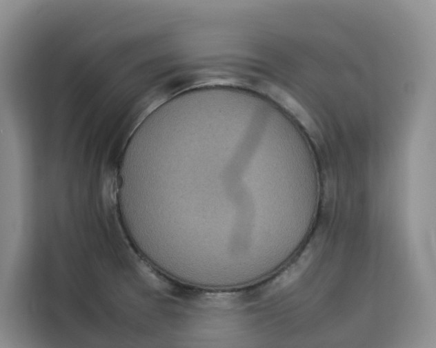 X0000113911377200910221325