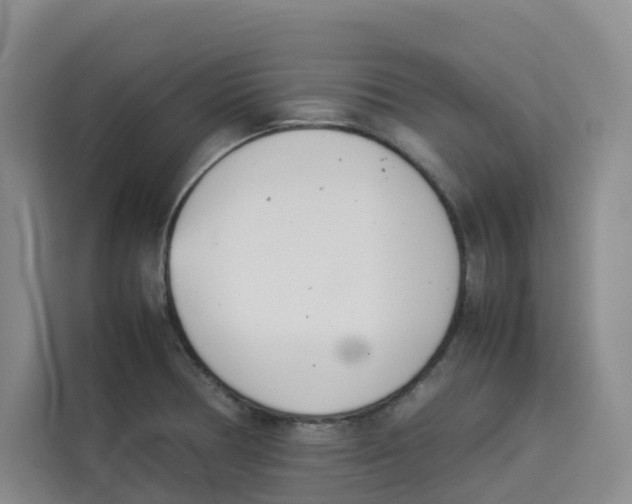 X0000113911378200910221325