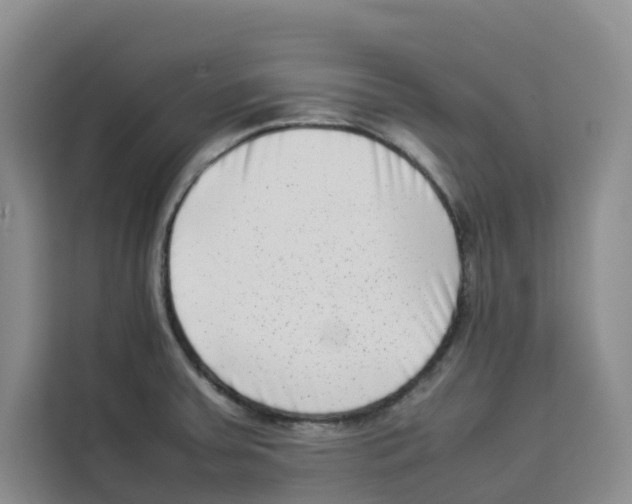 X0000113911379200910221325