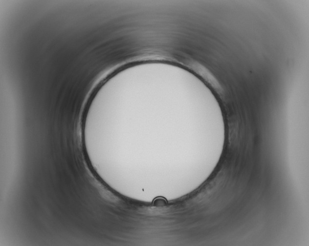 X0000113911380200910221325