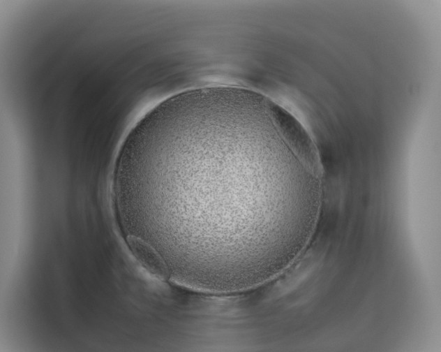 X0000113911381200910221325