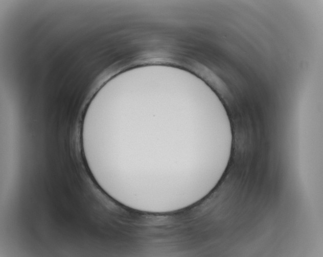 X0000113911382200910221325