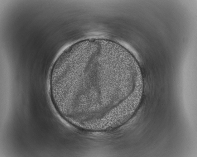 X0000113911383200910221325