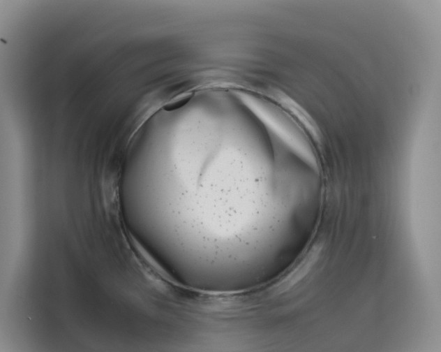 X0000113911385200910221325