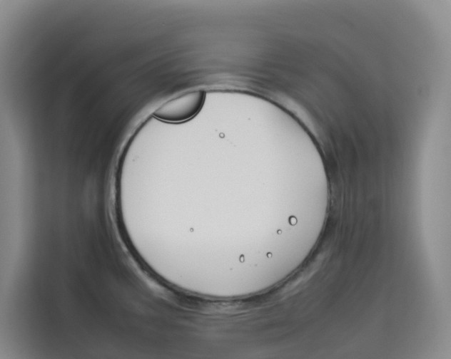 X0000113911387200910221325