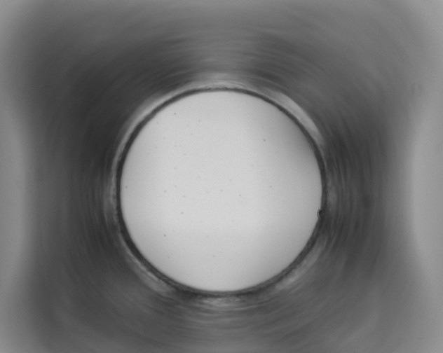 X0000113911388200910221325