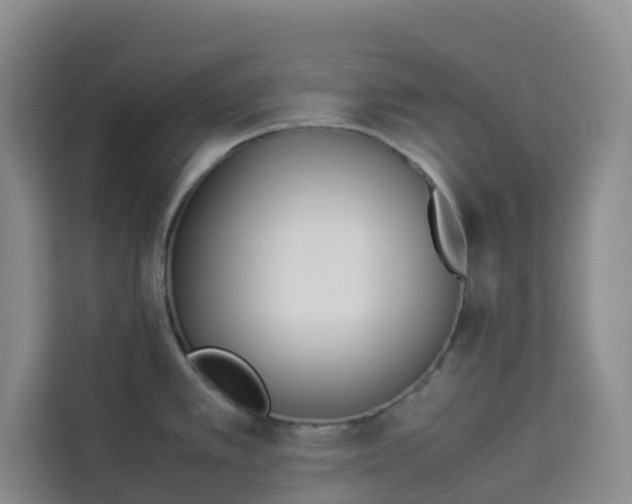 X0000113911389200910221325