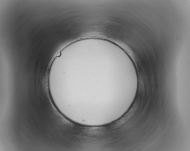 X0000113911390200910221325